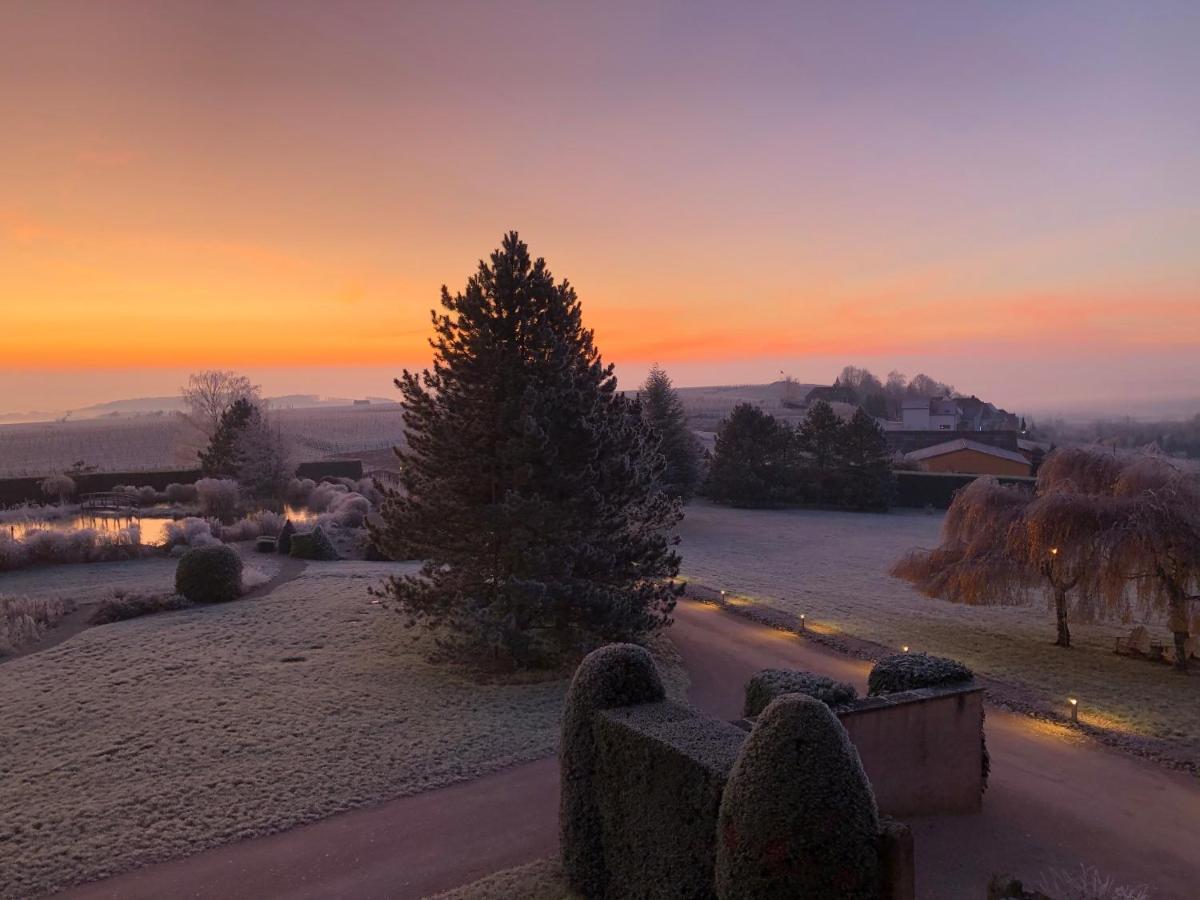 Maison D'Hotes Les Jardins De Madeleine Bernardville Экстерьер фото