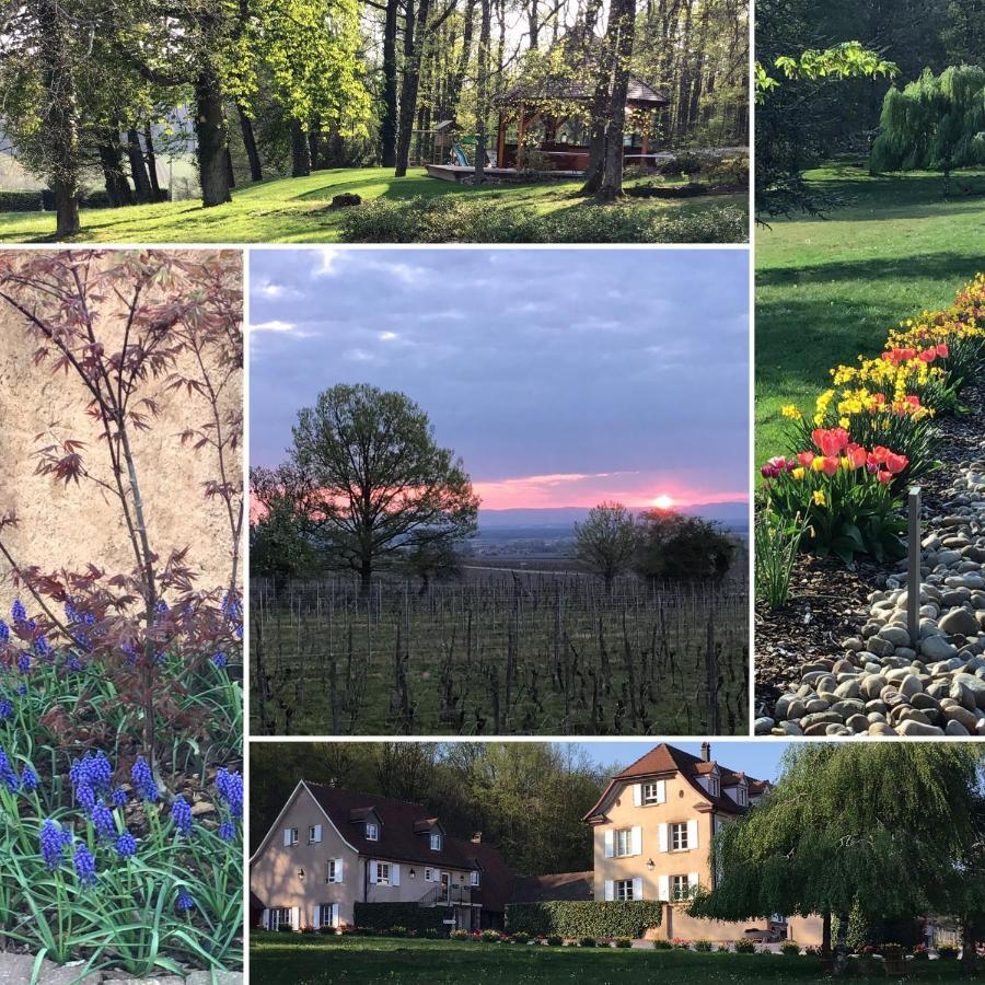 Maison D'Hotes Les Jardins De Madeleine Bernardville Экстерьер фото